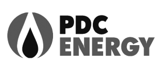 220x96-PDC